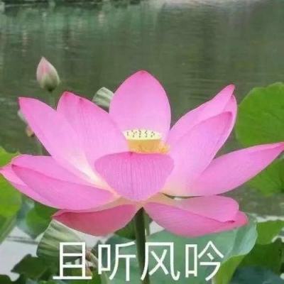 【境内疫情观察】江苏新增12例本土病例（7月22日）